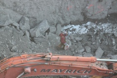 Workman