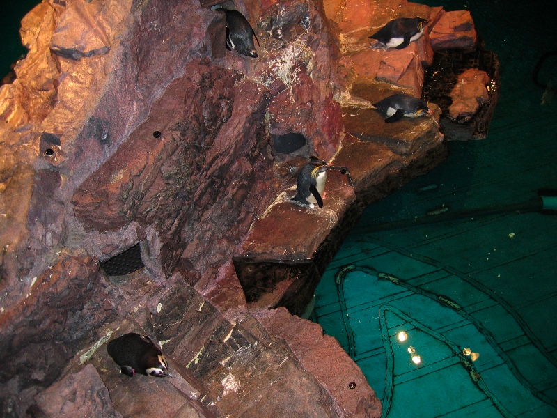 NE Aquarium - 51