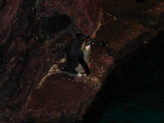 NE Aquarium - 53