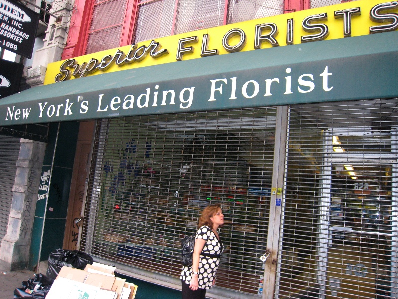 Rose Rosenberg's Roses