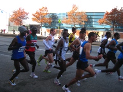 NYC Marathon, 2008 - 01