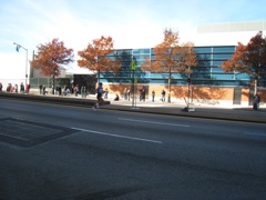 NYC Marathon, 2008 - 12