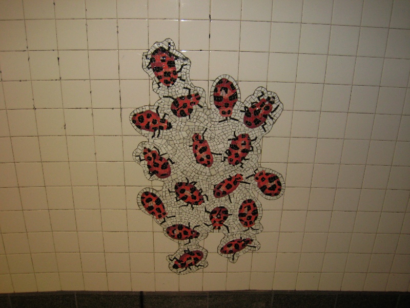 Ladybug swarm
