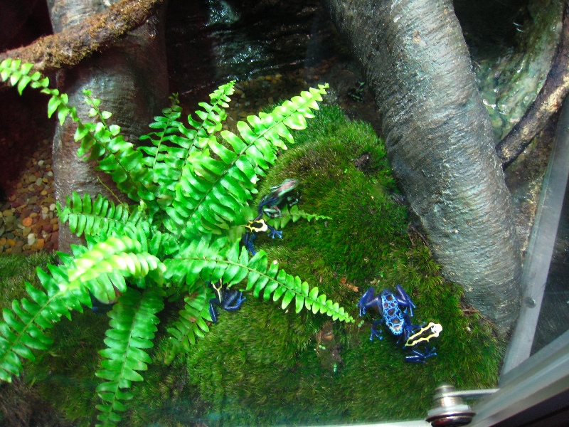 Not toxic in captivity