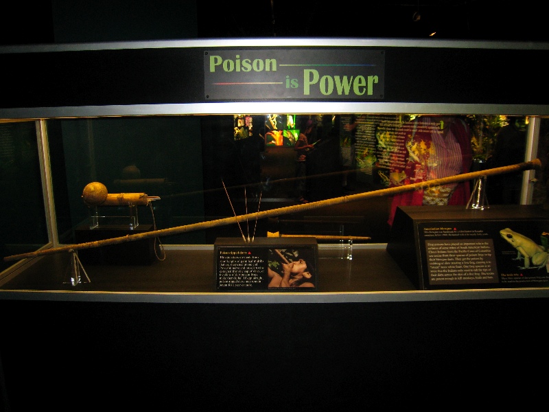 This blowgun was used for 40 years