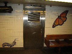 I wanna be a butterfly!