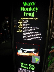 Karate Kid was a good jumper too