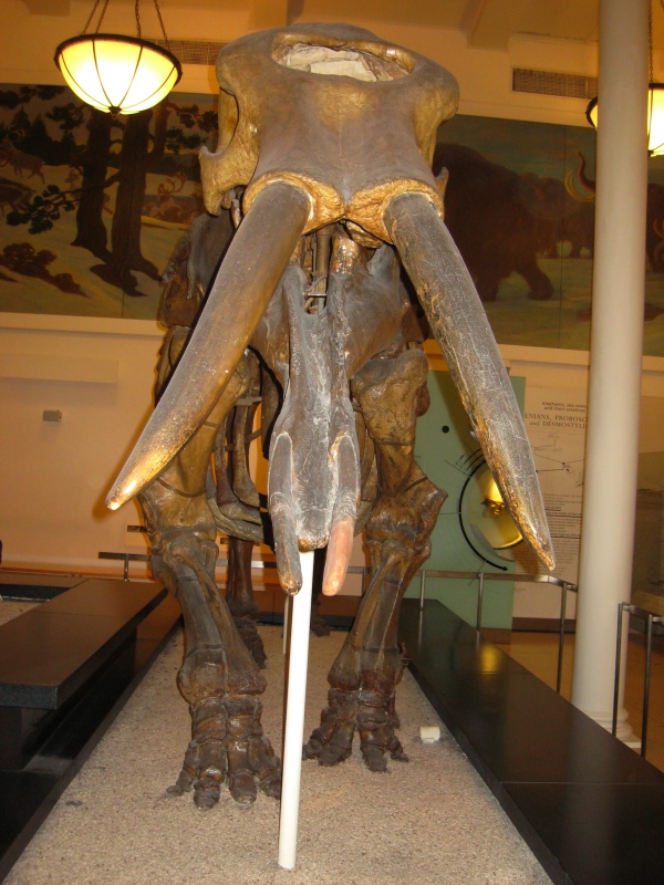 mammoth