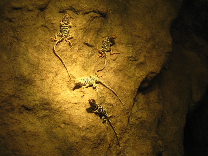 matching the yellow light