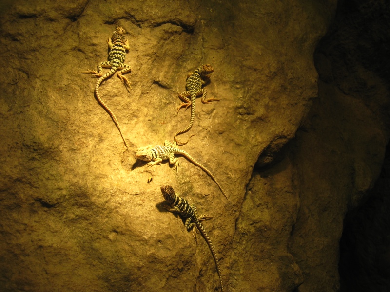 matching the yellow light