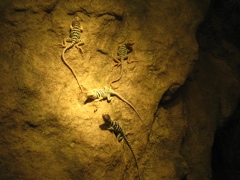 matching the yellow light