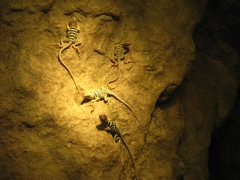 matching the yellow light