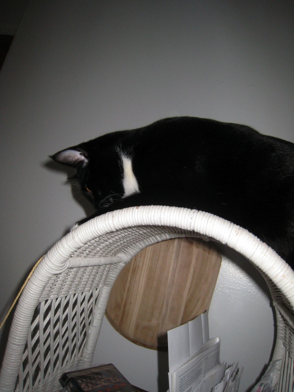 Gillie & Enki, 2009-04 - 01