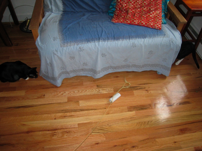 Gillie & Enki, 2009-04 - 05