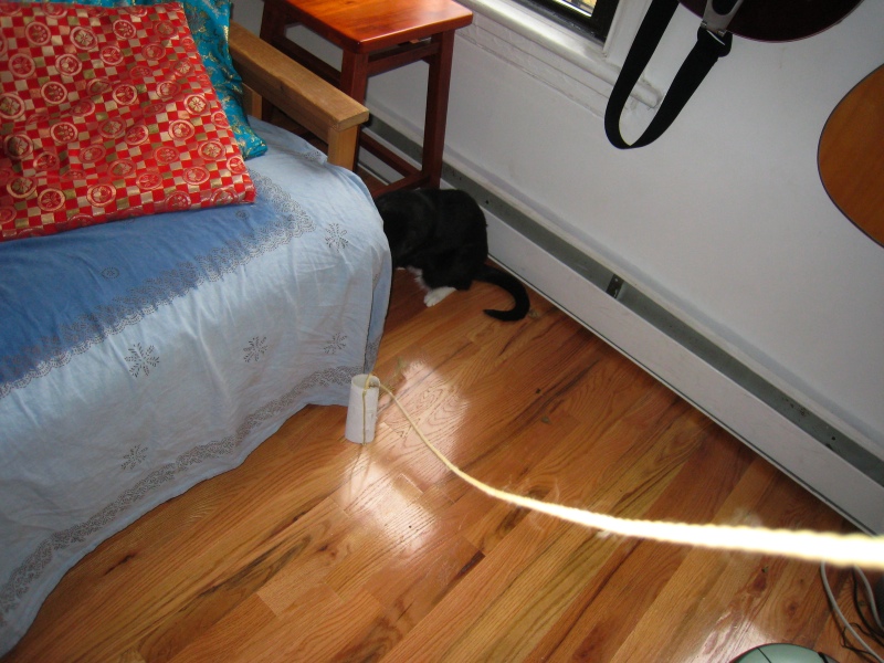 Gillie & Enki, 2009-04 - 06