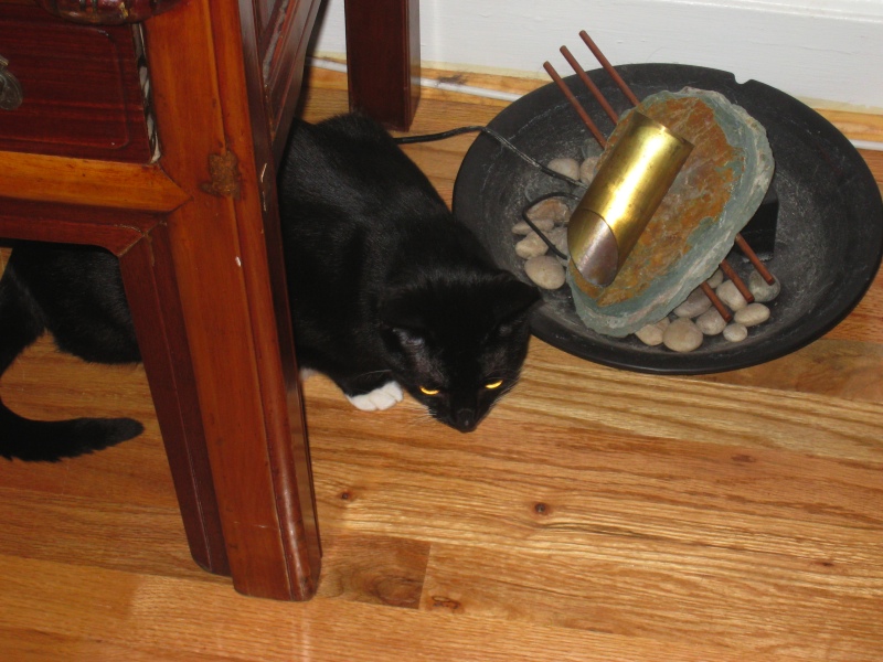 Gillie & Enki, 2009-04 - 08