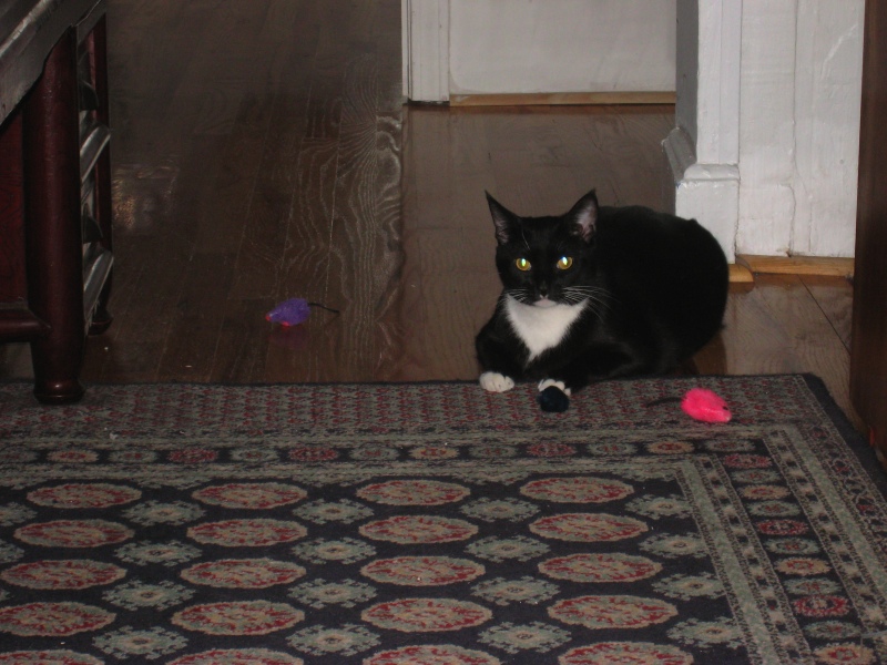 Gillie & Enki, 2009-04 - 11