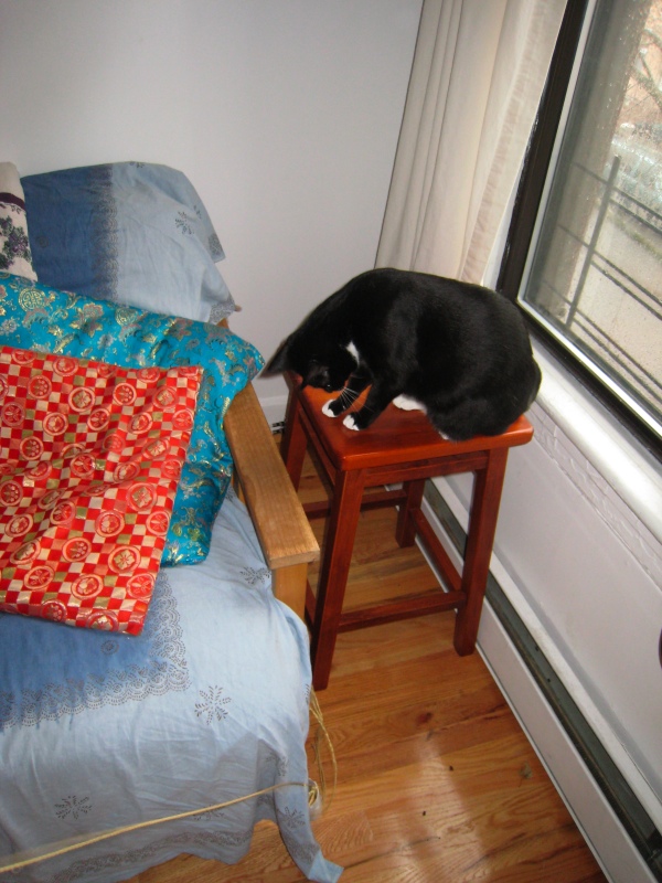 Gillie & Enki, 2009-04 - 14