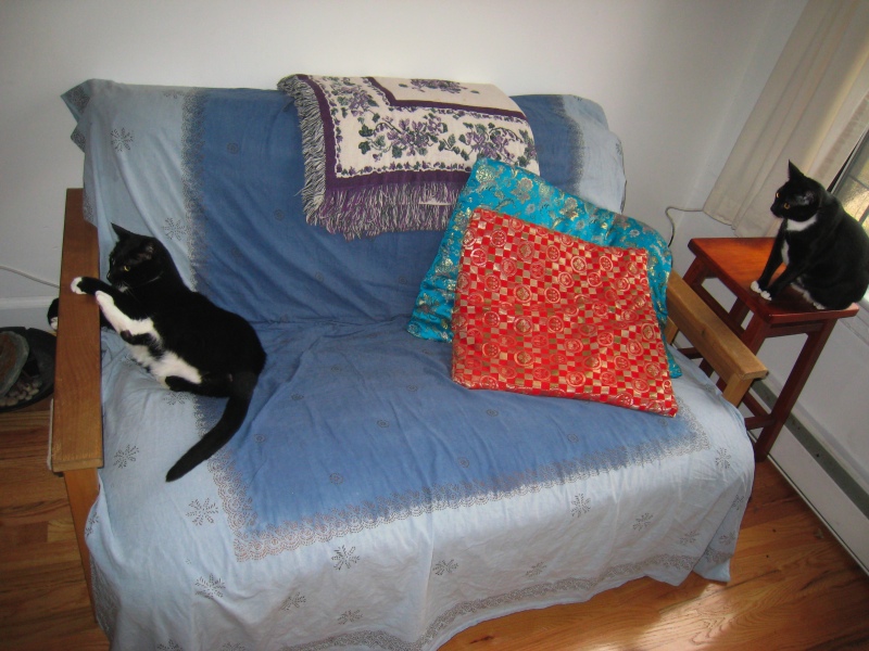 Gillie & Enki, 2009-04 - 15