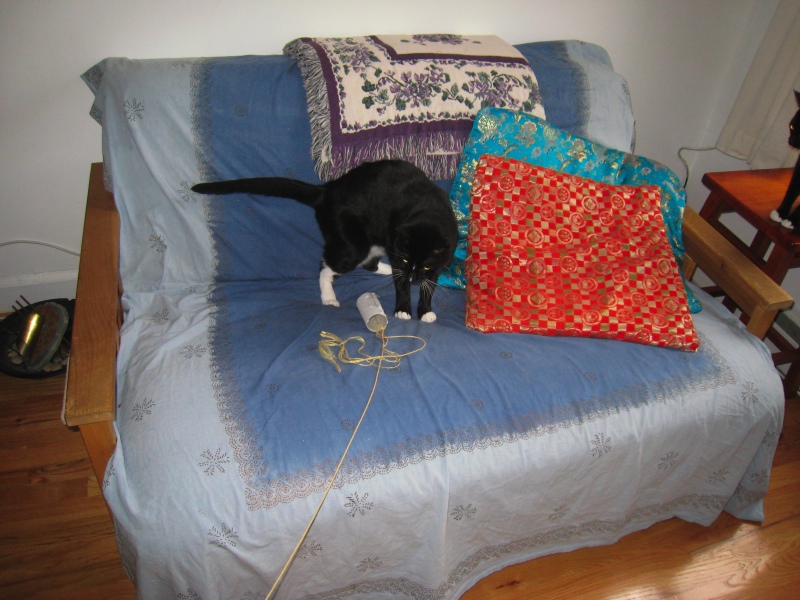 Gillie & Enki, 2009-04 - 17