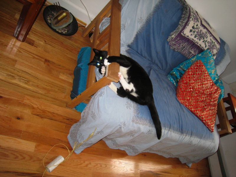 Gillie & Enki, 2009-04 - 18