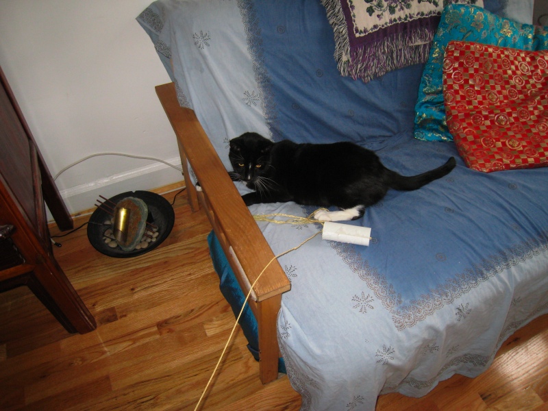 Gillie & Enki, 2009-04 - 20