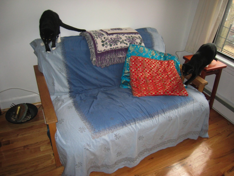 Gillie & Enki, 2009-04 - 21