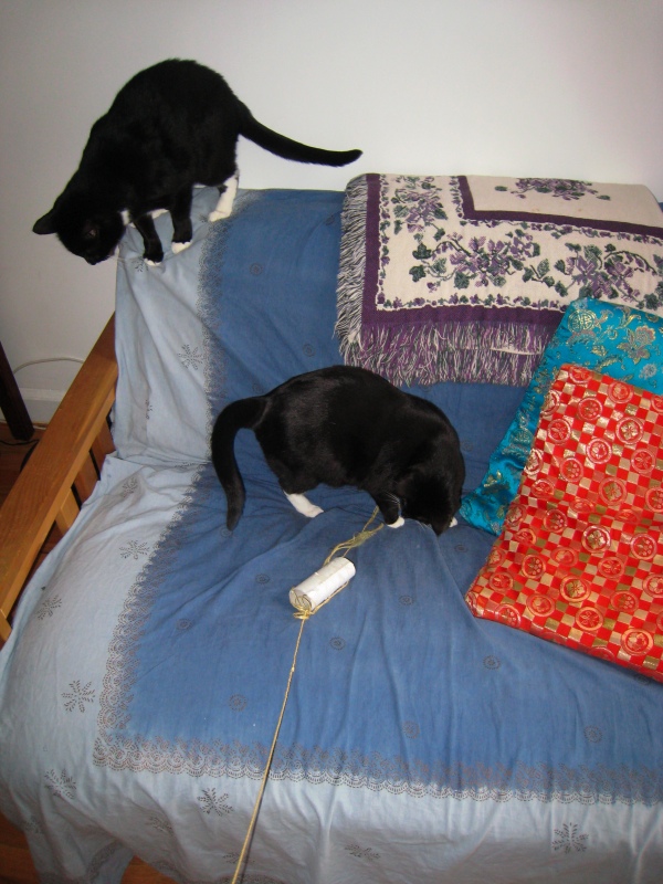 Gillie & Enki, 2009-04 - 23