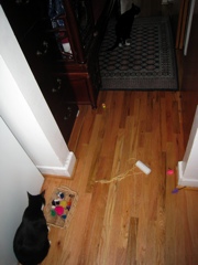 Gillie & Enki, 2009-04 - 04