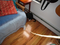 Gillie & Enki, 2009-04 - 06