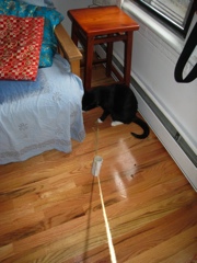 Gillie & Enki, 2009-04 - 07