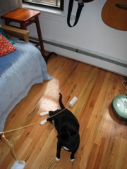 Gillie & Enki, 2009-04 - 12