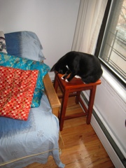 Gillie & Enki, 2009-04 - 14