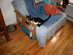 Gillie & Enki, 2009-04 - 19