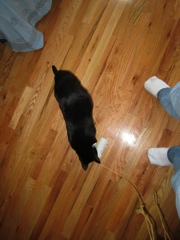 Gillie & Enki, 2009-04 - 22