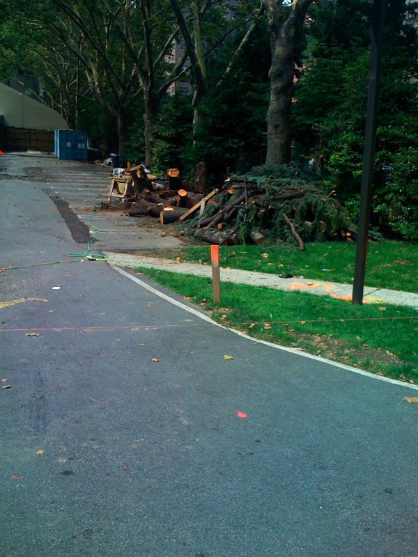 Tree down (iPhone)