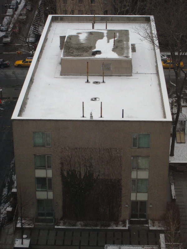 Sophie Fricke Hall