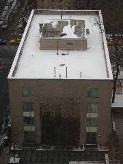 Sophie Fricke Hall
