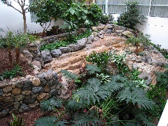 Terrarium