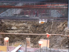 The pit, through mesh