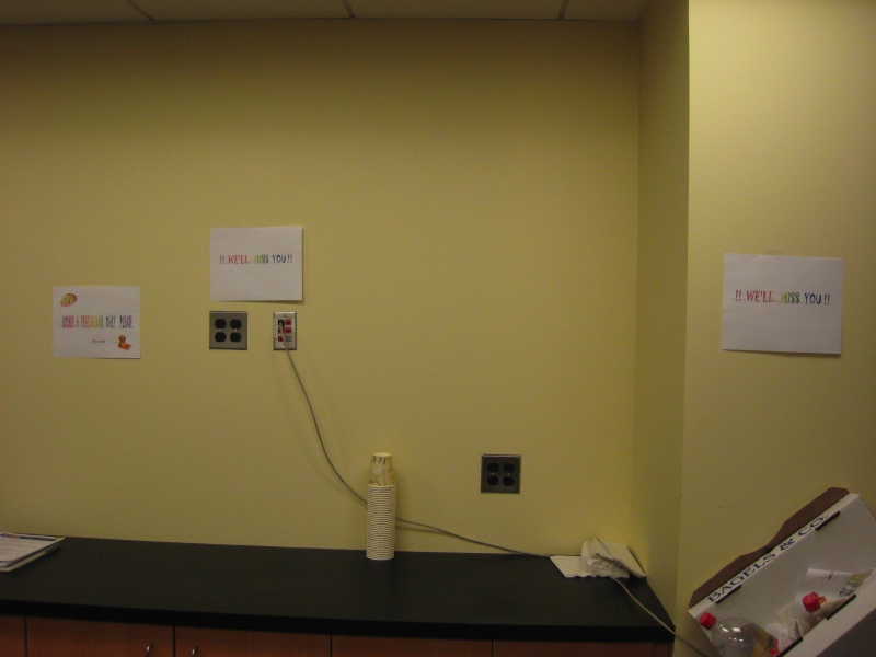 Kosher & vegetarians only please