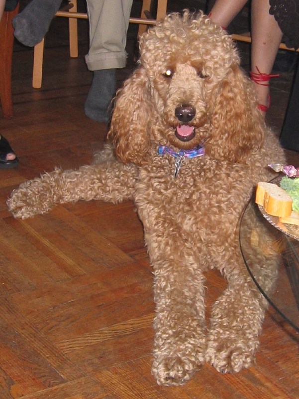 Leo Vardaman, our host